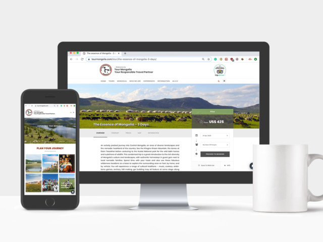 Website Design