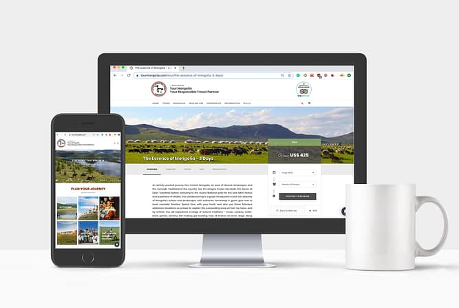 Website Design